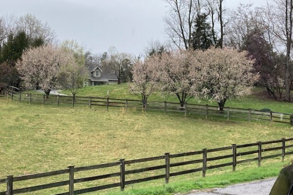 Thornhill Vacation Home