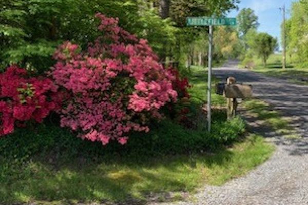 Thornhill Vacation Home