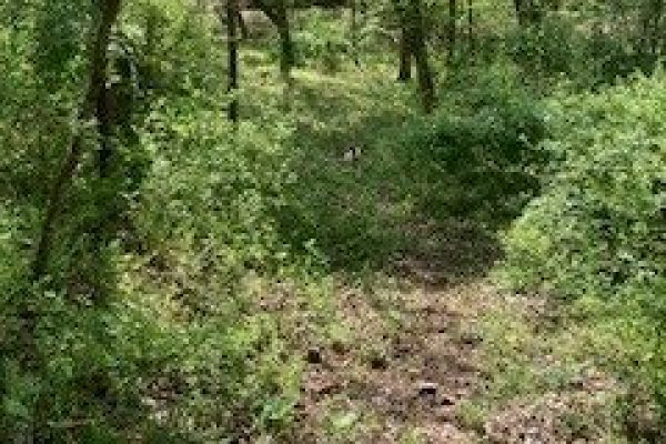 Thornhill Vacation Home